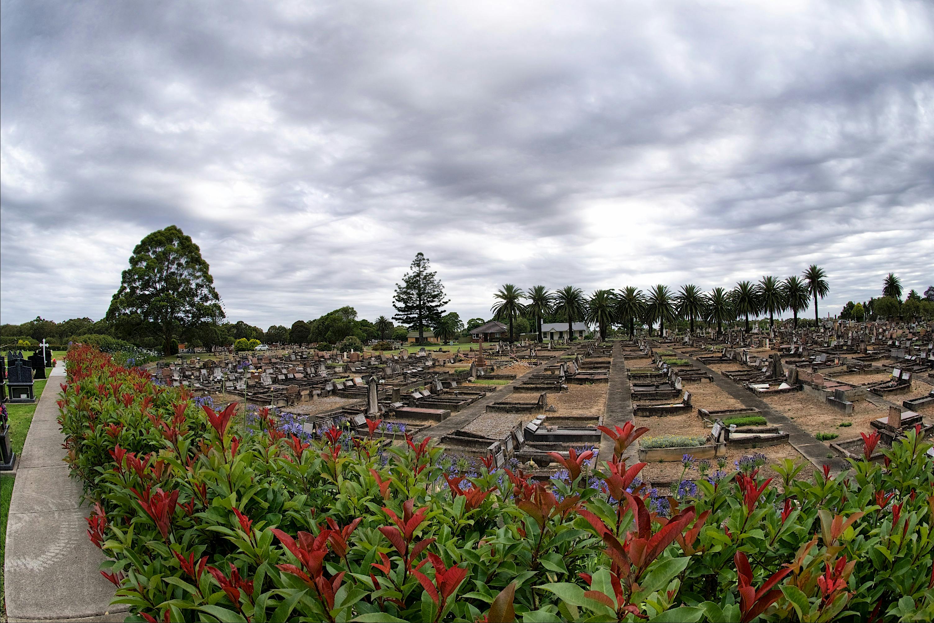 그림 같은 화성 묘지