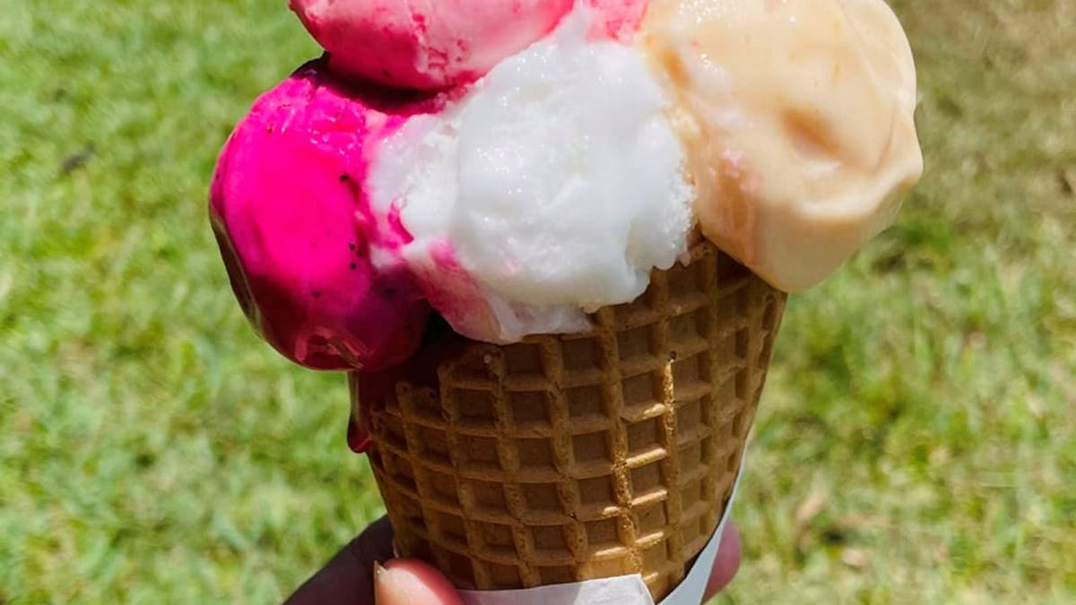 tropical icecreams