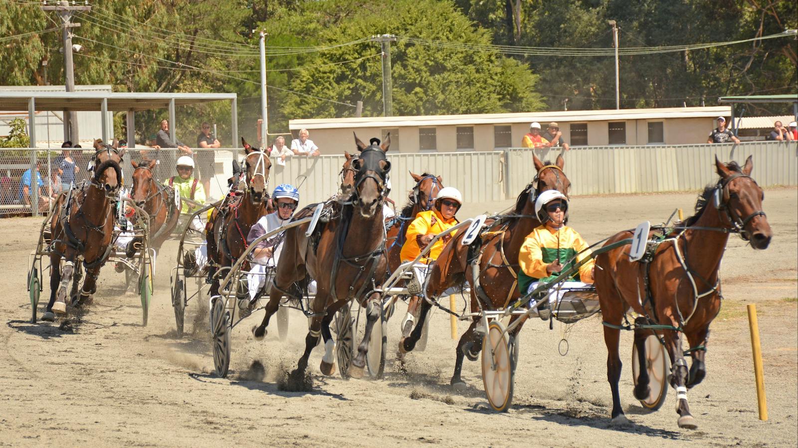 Collie Harness Racing, Collie, Western Australia