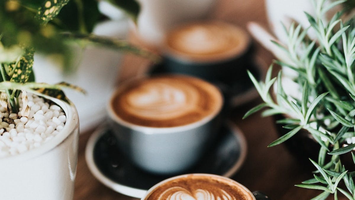 Dive into Flavors: Reef Coffee - Where Taste Meets the Depths of Perfection Dive into Flavors: Reef Coffee - Where Taste Meets the Depths of Perfection