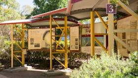 The Big Rig  Tower & Tree Walk and Oil Patch Museum
