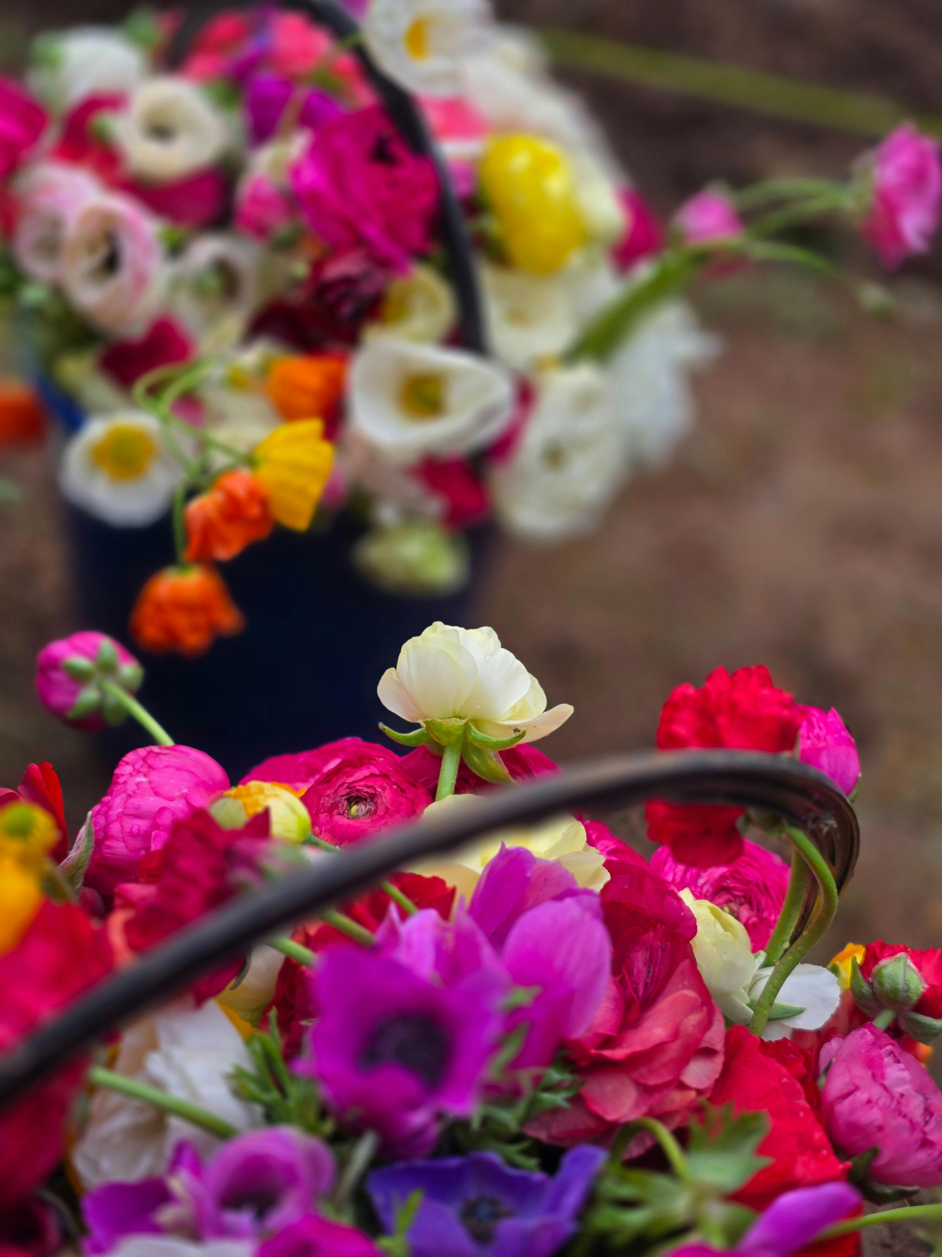 Flowers of Yewwood