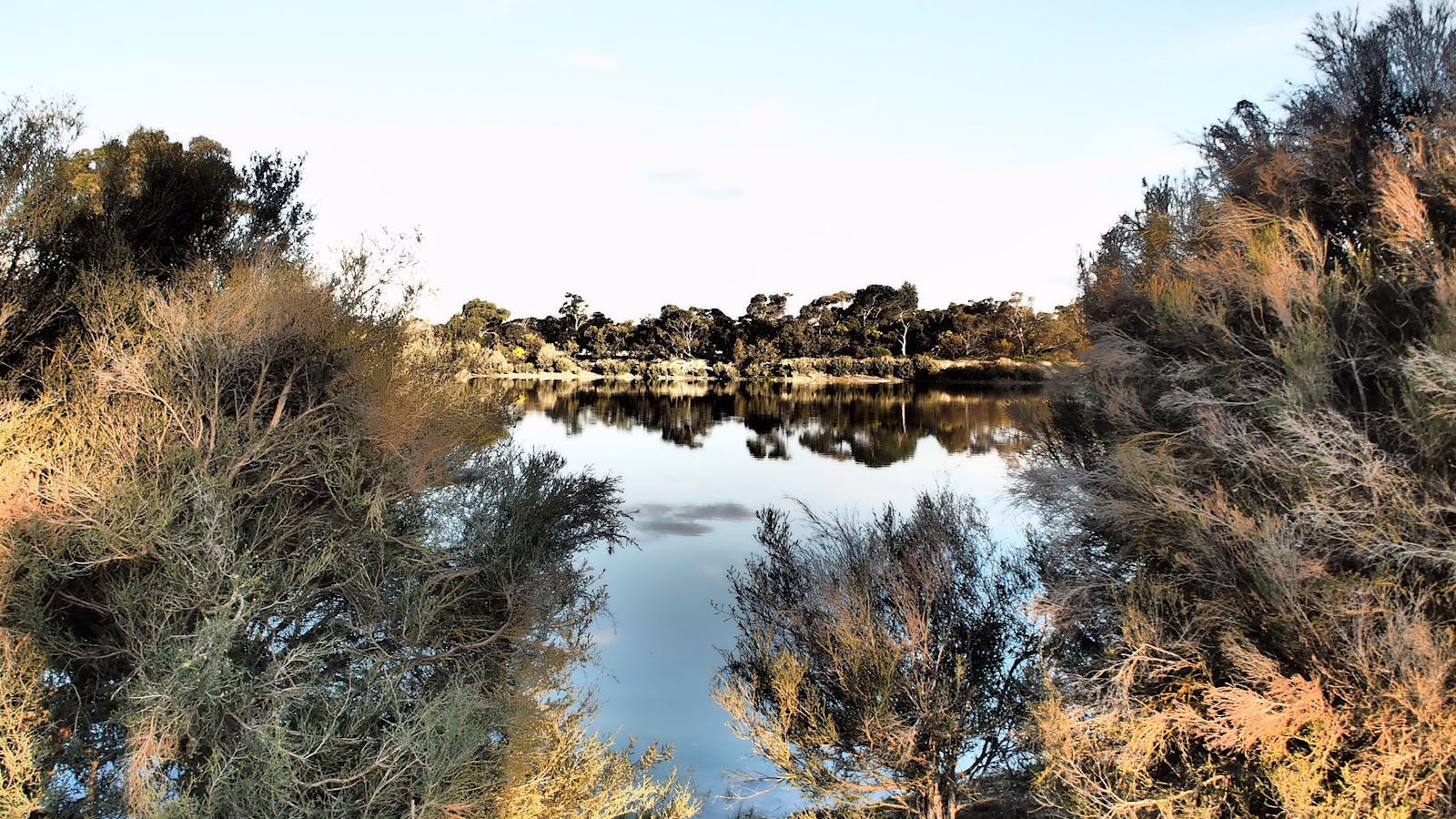 Tintinara Disc Golf Course
