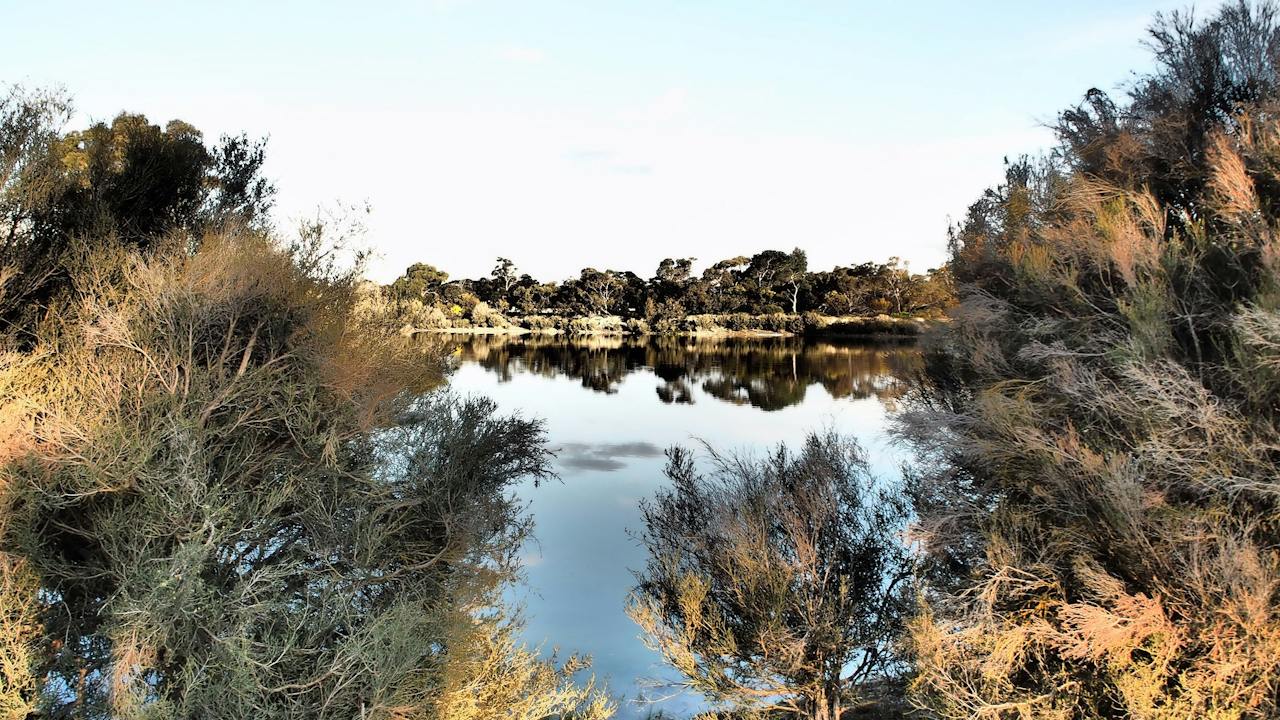 Lake Indawarra Tintinara, next to Disc Golf Course