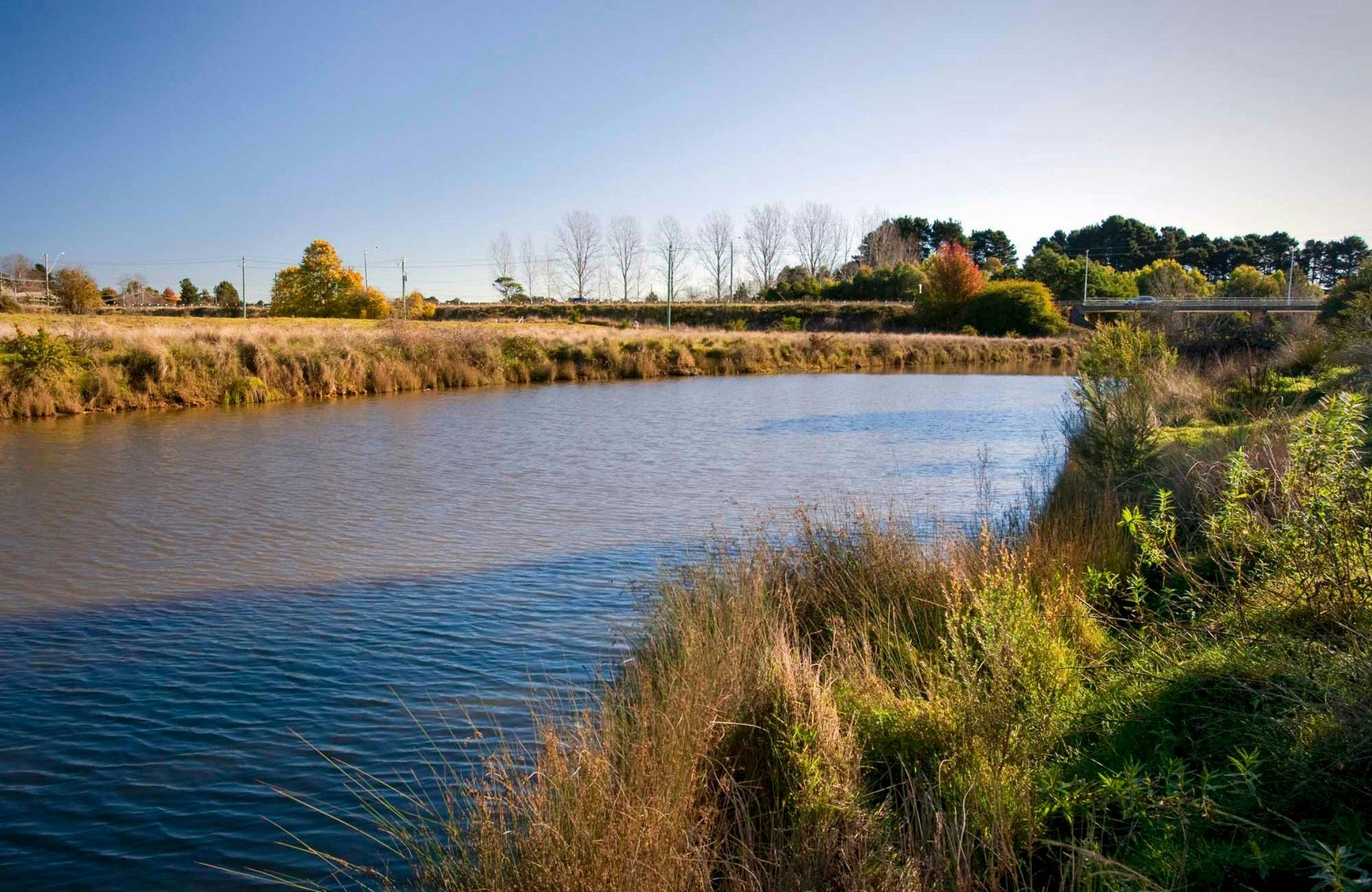 Wingecarribee 리버 워크, Cecil Hoskins 자연 보호 구역. 사진: 닉 커빈