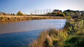 Wingecarribee River Walking Track