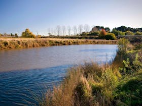 Wingecarribee River Walking Track