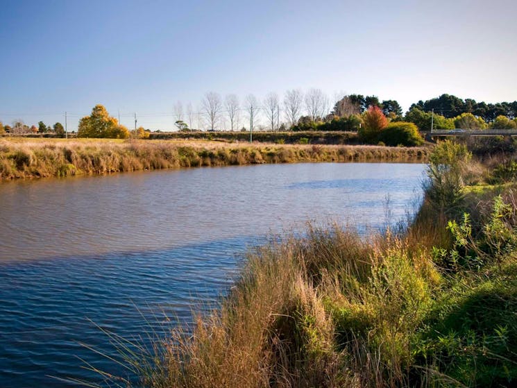 Wingecarribee River Walk, Cecil Hoskins Nature Reserve. Photo: Nick Cubbin