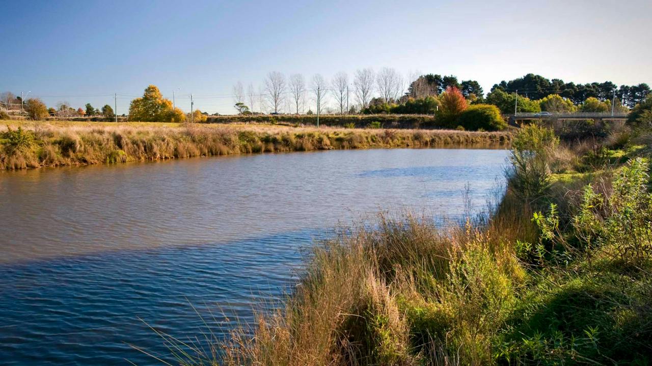 Wingecarribee River Walking Track