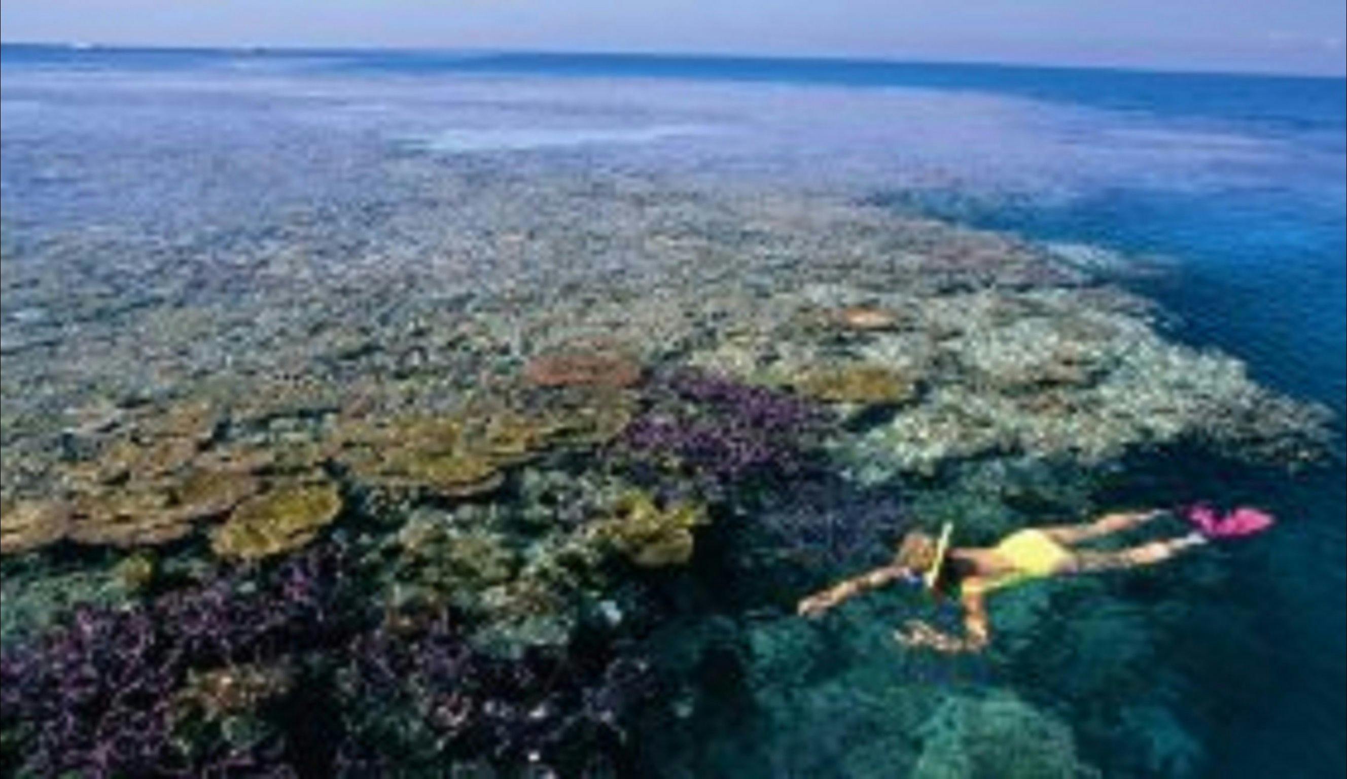 Hardy Reef