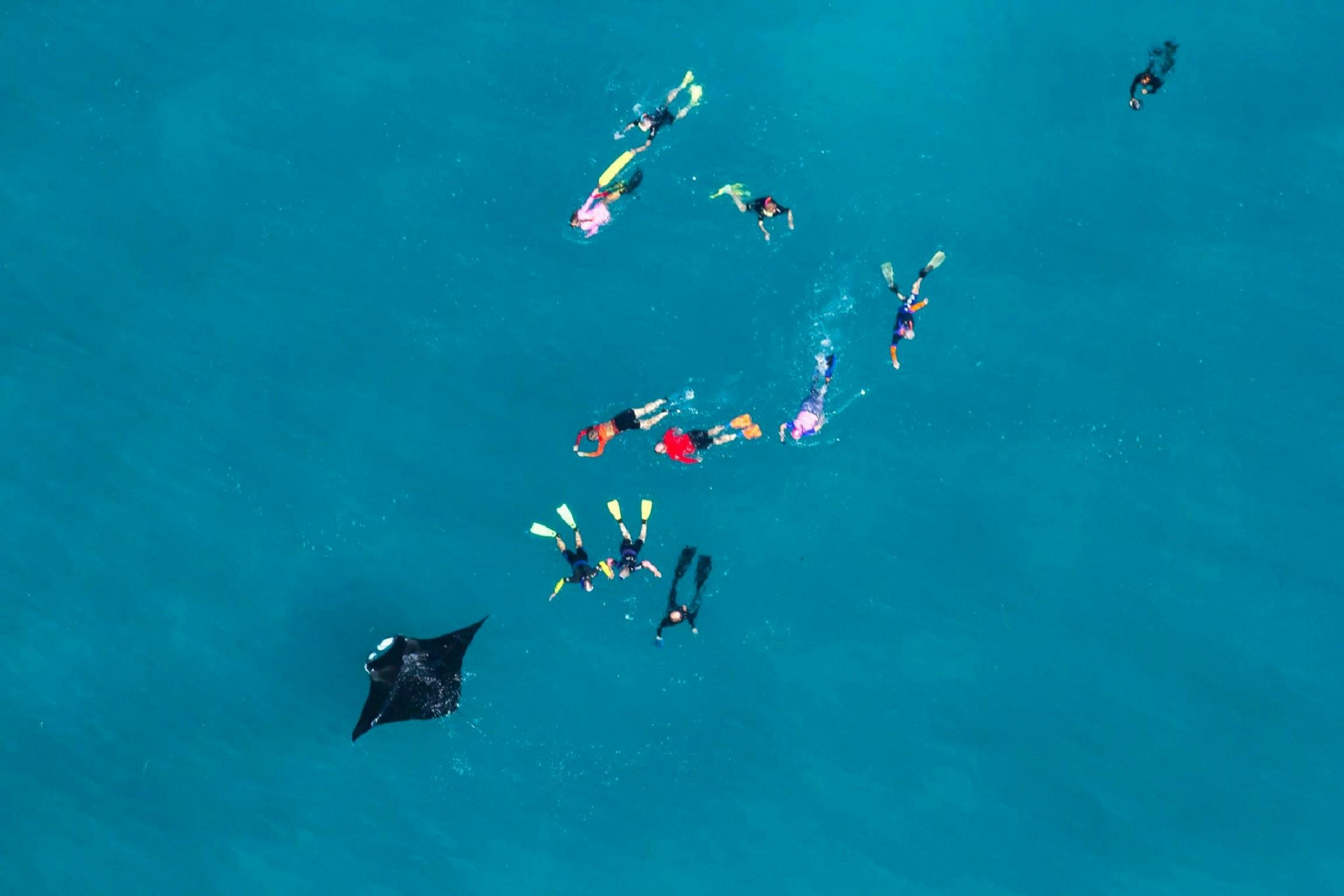 Ningaloo Marine Interactions, Coral Bay, Western Australia