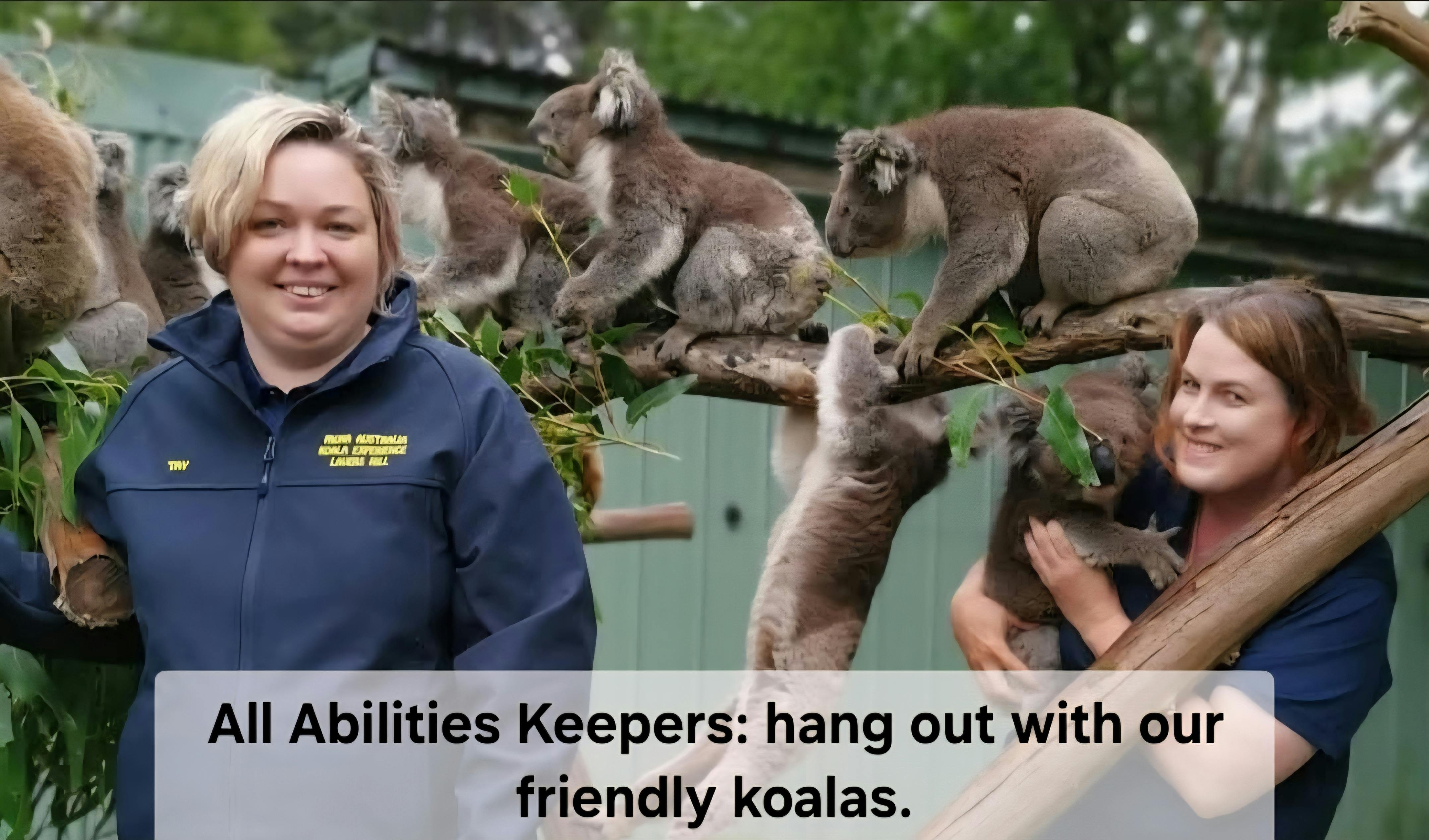 Friendly Koalas: all abilities staff