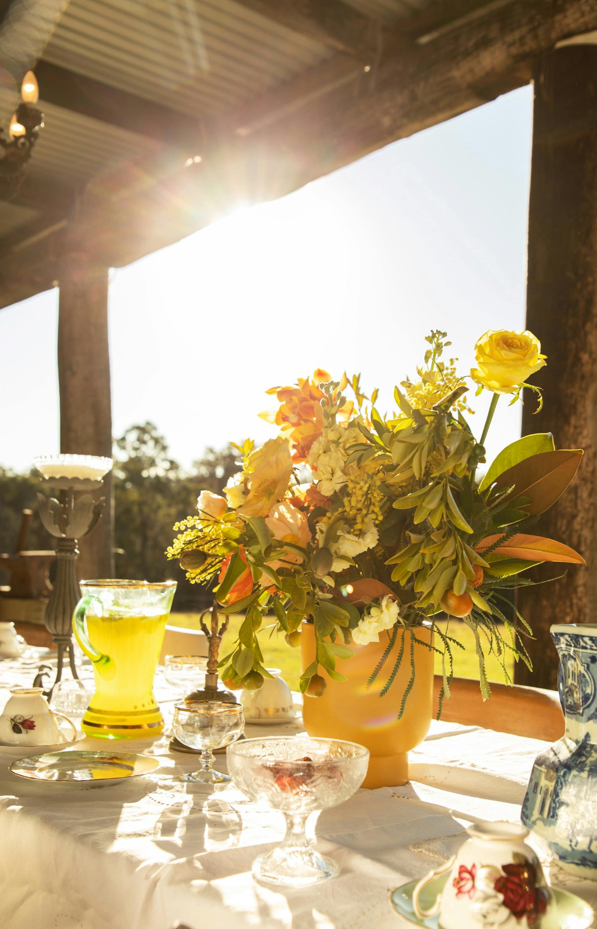 Beautiful warm sunshine flowing into the reception at Mogendurra Farm