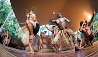 A group of Aboriginal Australian dancers performing traditional dance at Rainforestation Nature Park