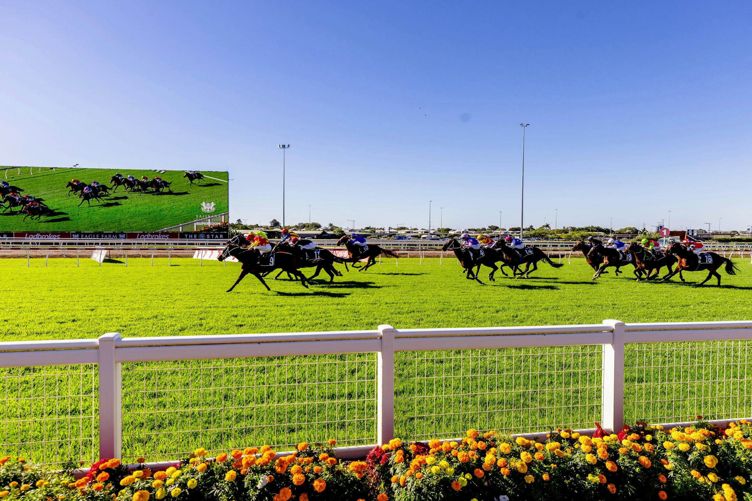 Horses race down the straight at Eagle Farm Racecourse