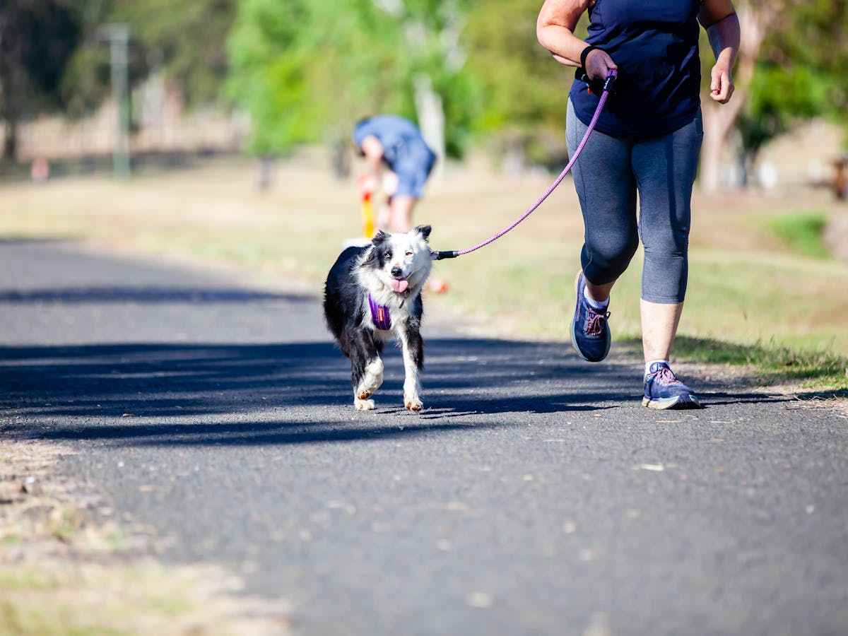 KKRT Rail Trail