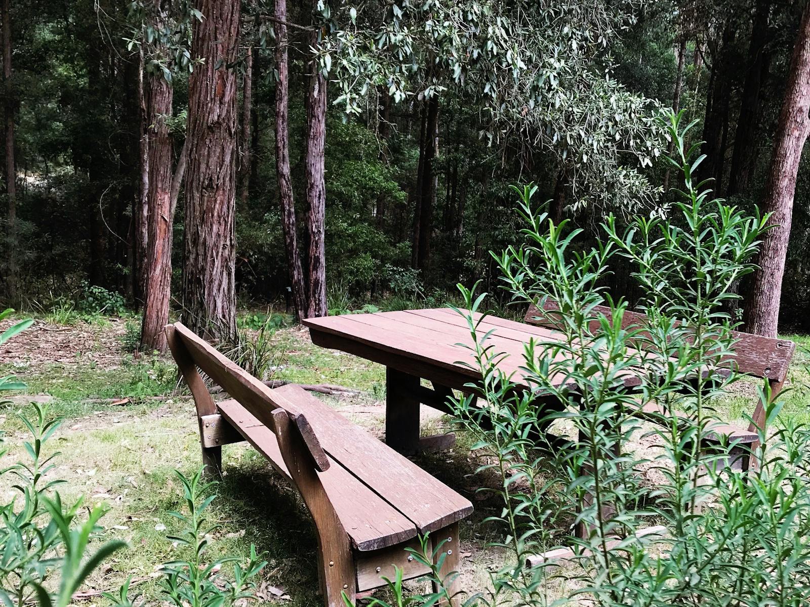 Quiet spots to sit and enjoy the bush.