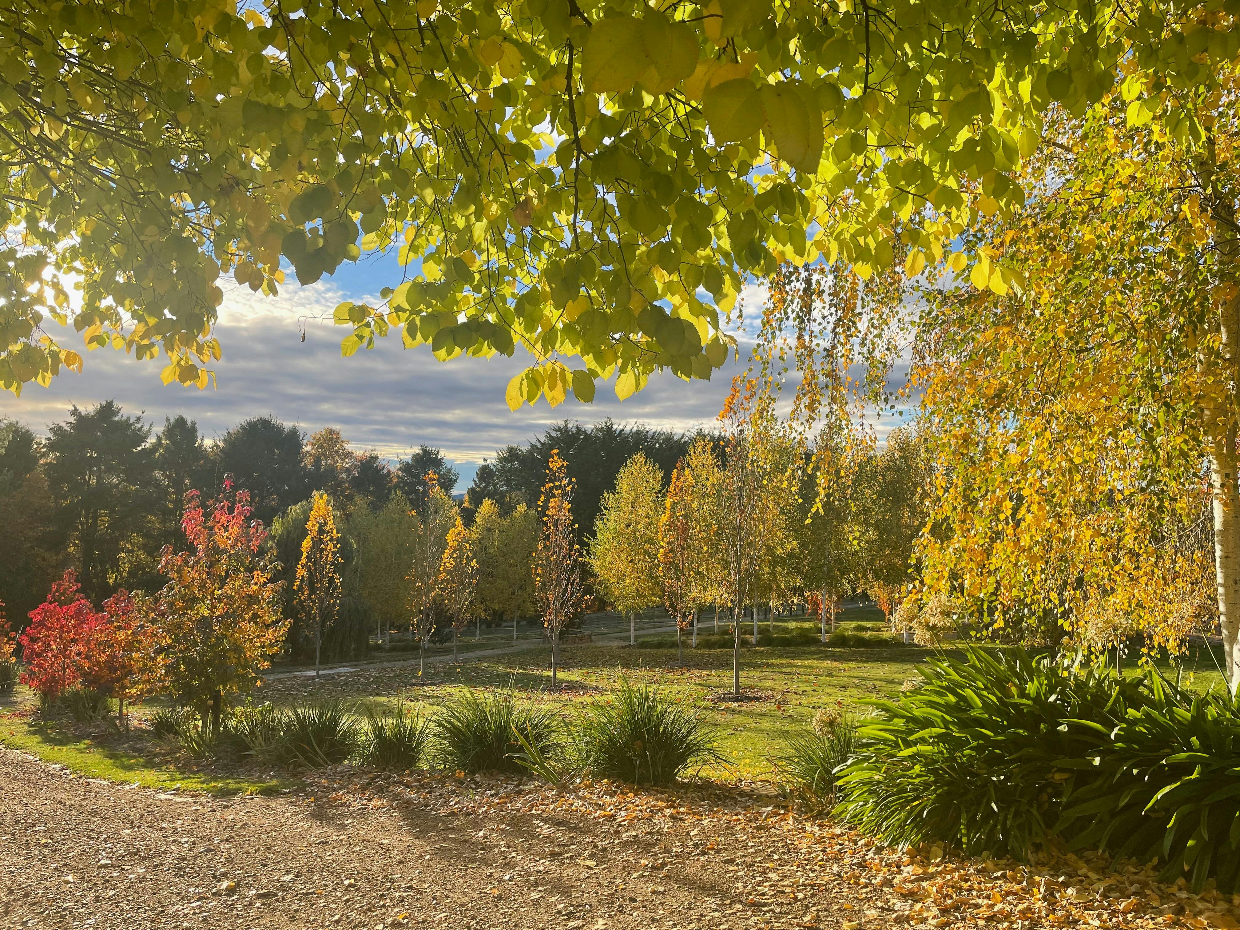 Open Gardens Victoria - The Rowe Garden