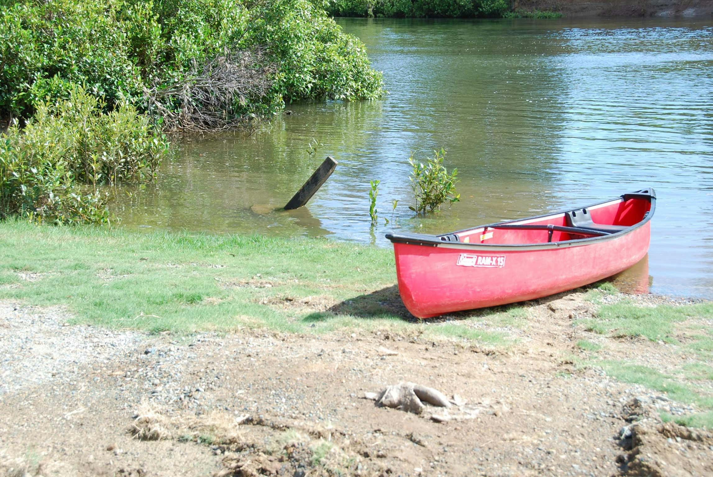 The perfect spot to launch a canoe