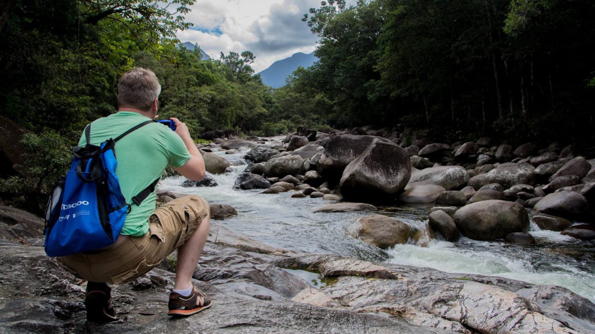 Daintree