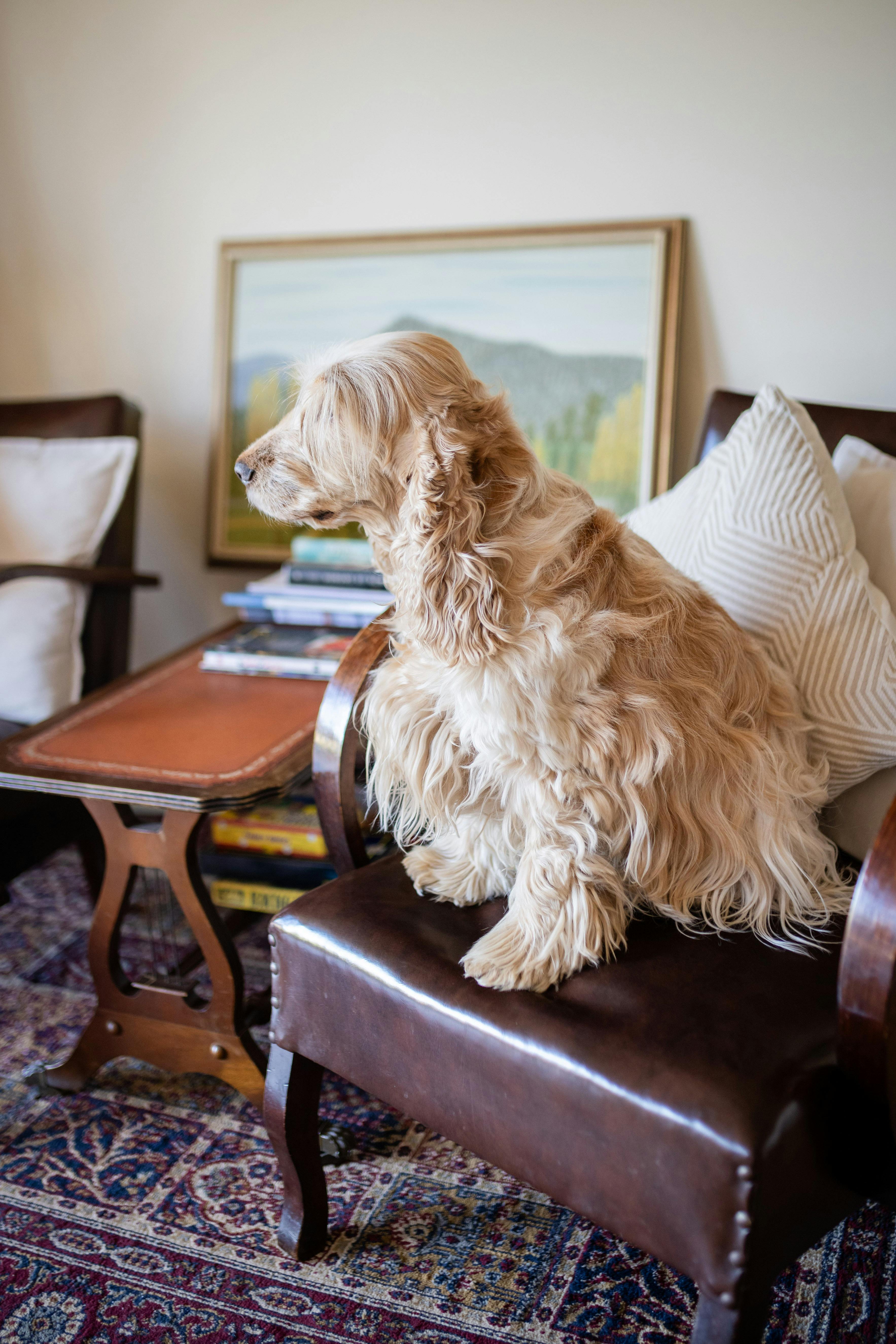 Meredies Guest House