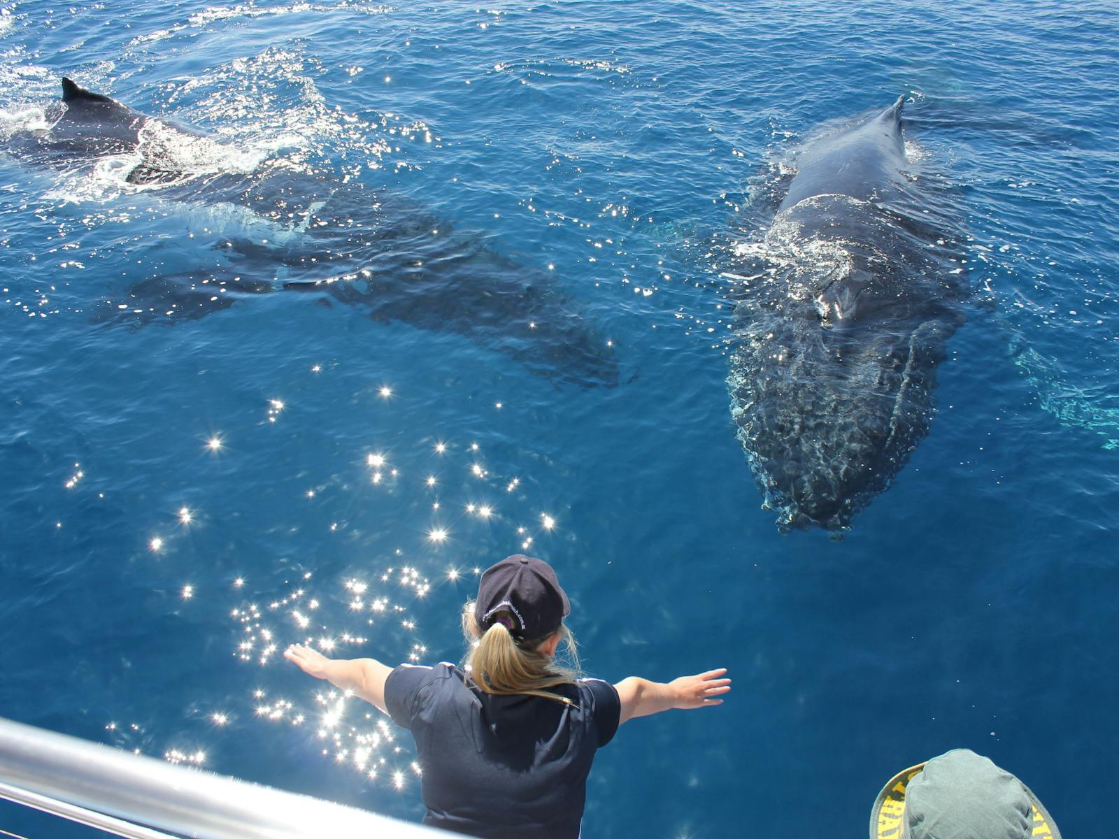 Freedom Ecotours