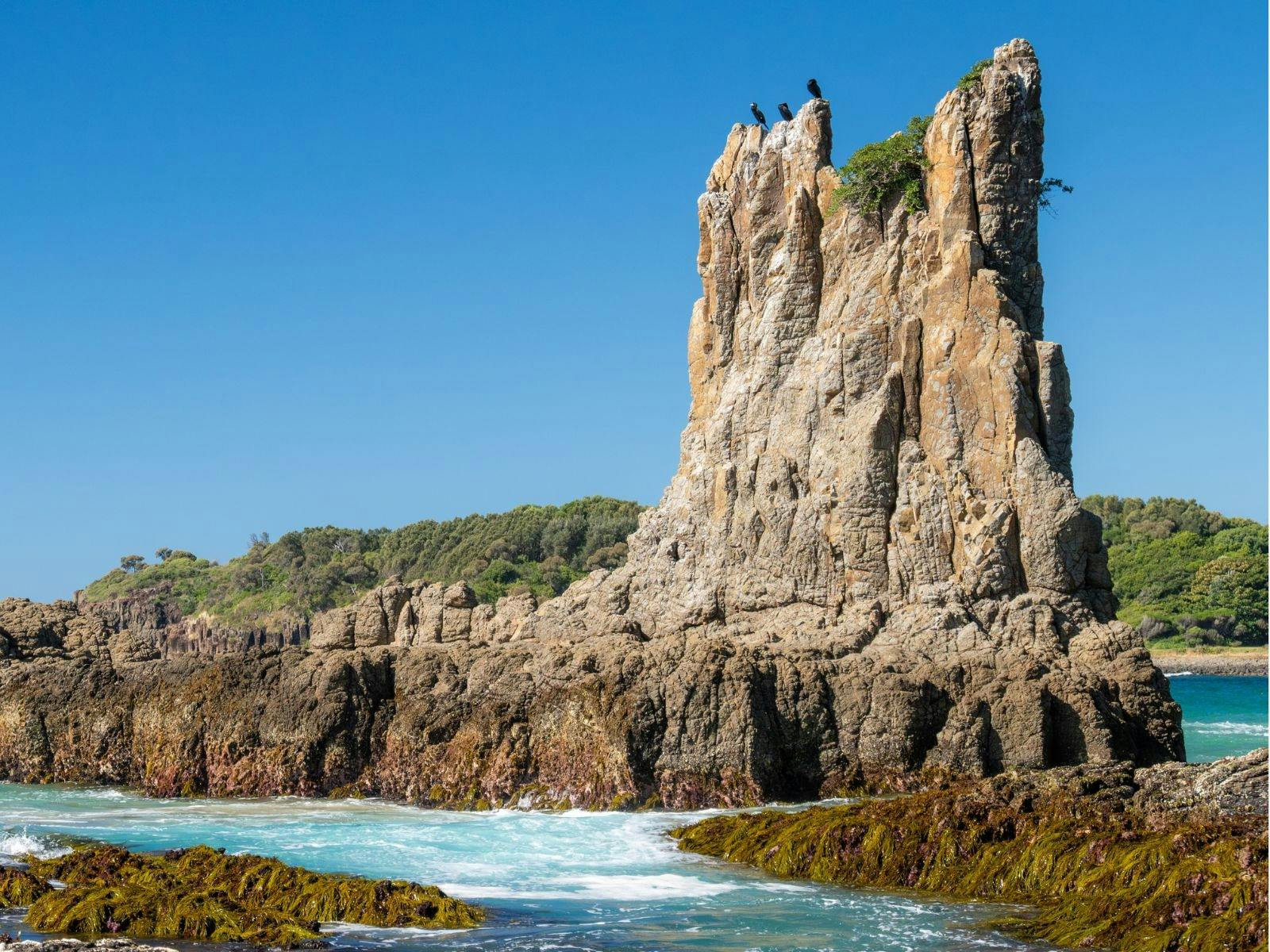 Cathedral Rocks