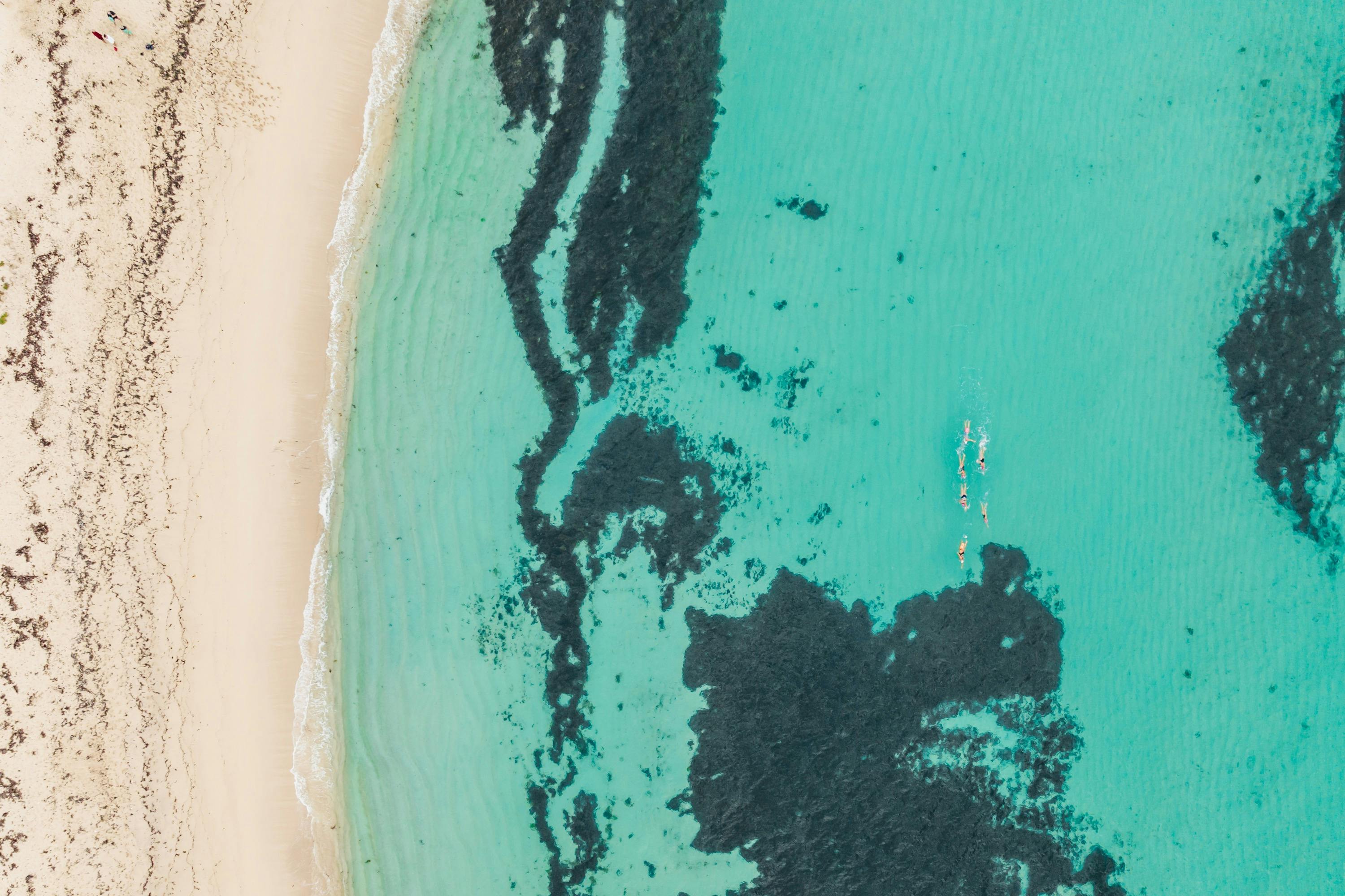 swimmers swim in clear water alongside a deserted beach