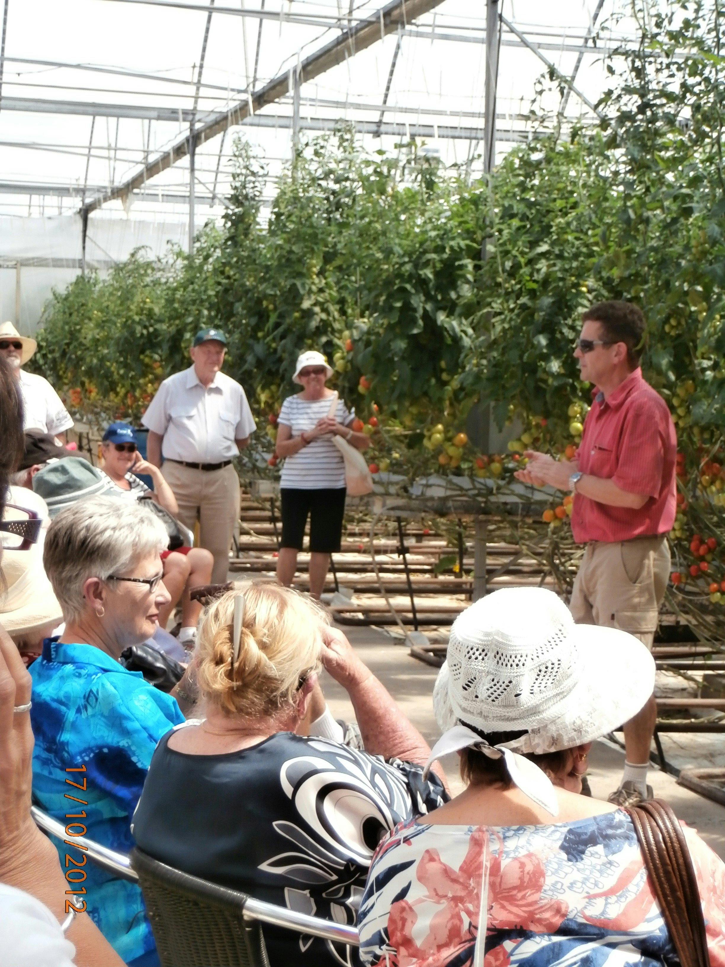 Immerse yourself among "Jack 'n' the Beanstalk"  towering tomatoes. Wander along   berry avenues.