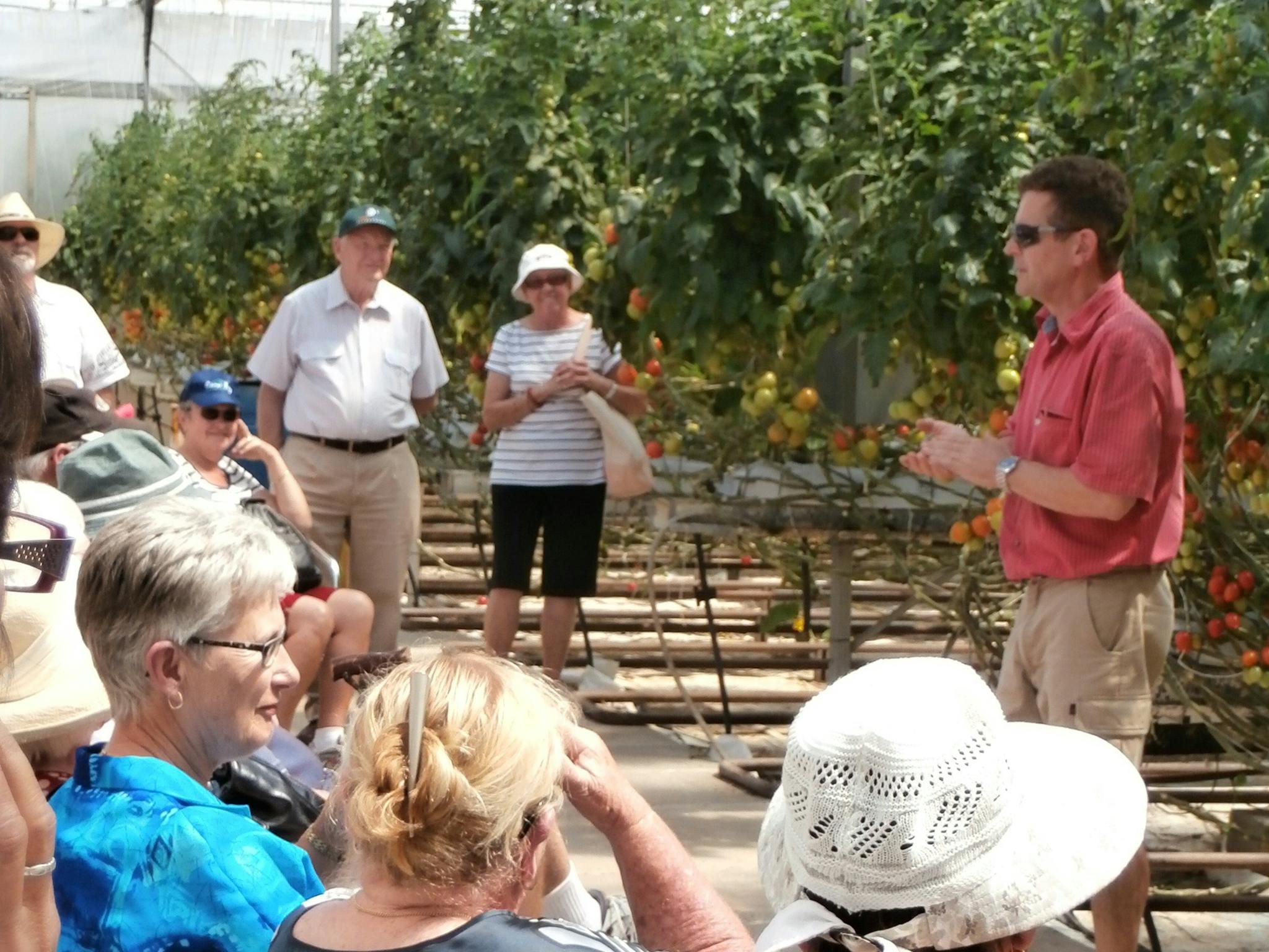Immerse yourself among "Jack 'n' the Beanstalk"  towering tomatoes. Wander along   berry avenues.