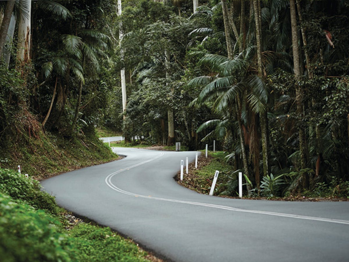 Tamborine Mountain National Park Tamborine Mountain National Park
