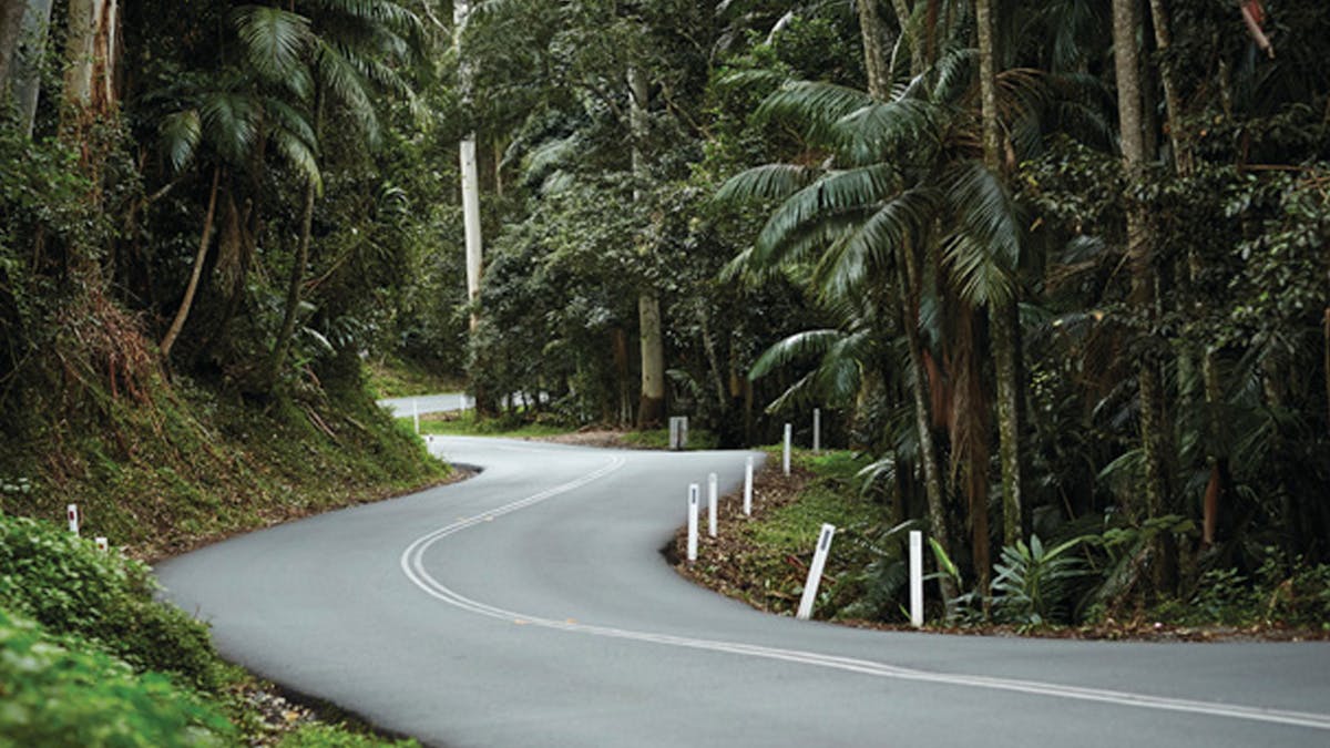Tamborine Mountain National Park