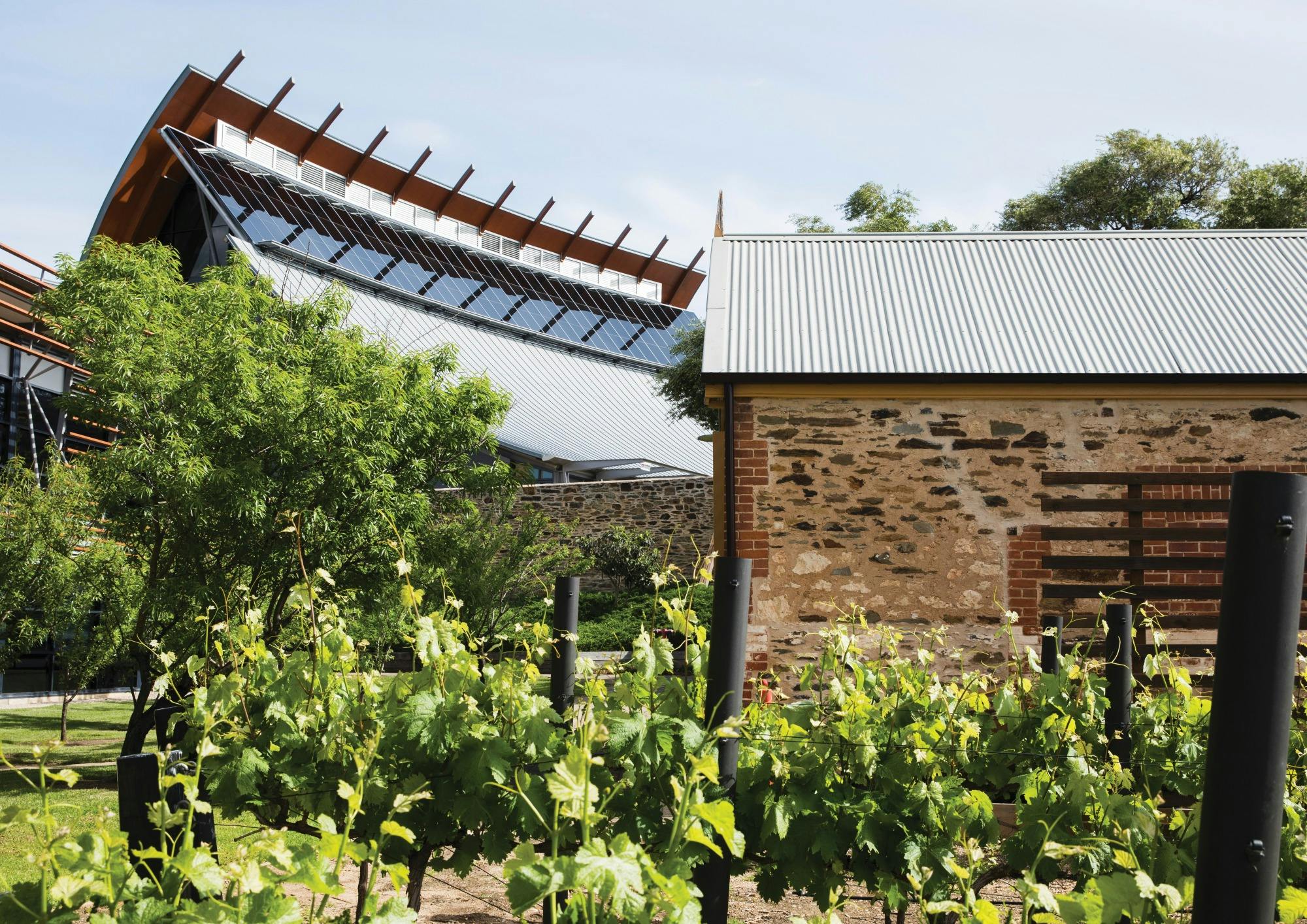 South Australian Wine Industry Association