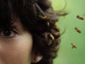 20,000 Species of Bees | IDAHOBIT screening Cover Image