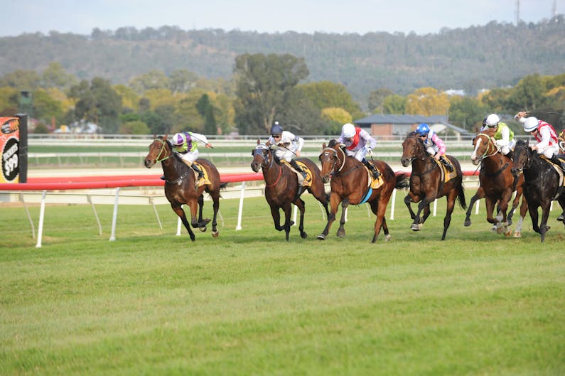 Image of the event 'Aggies Race Day'