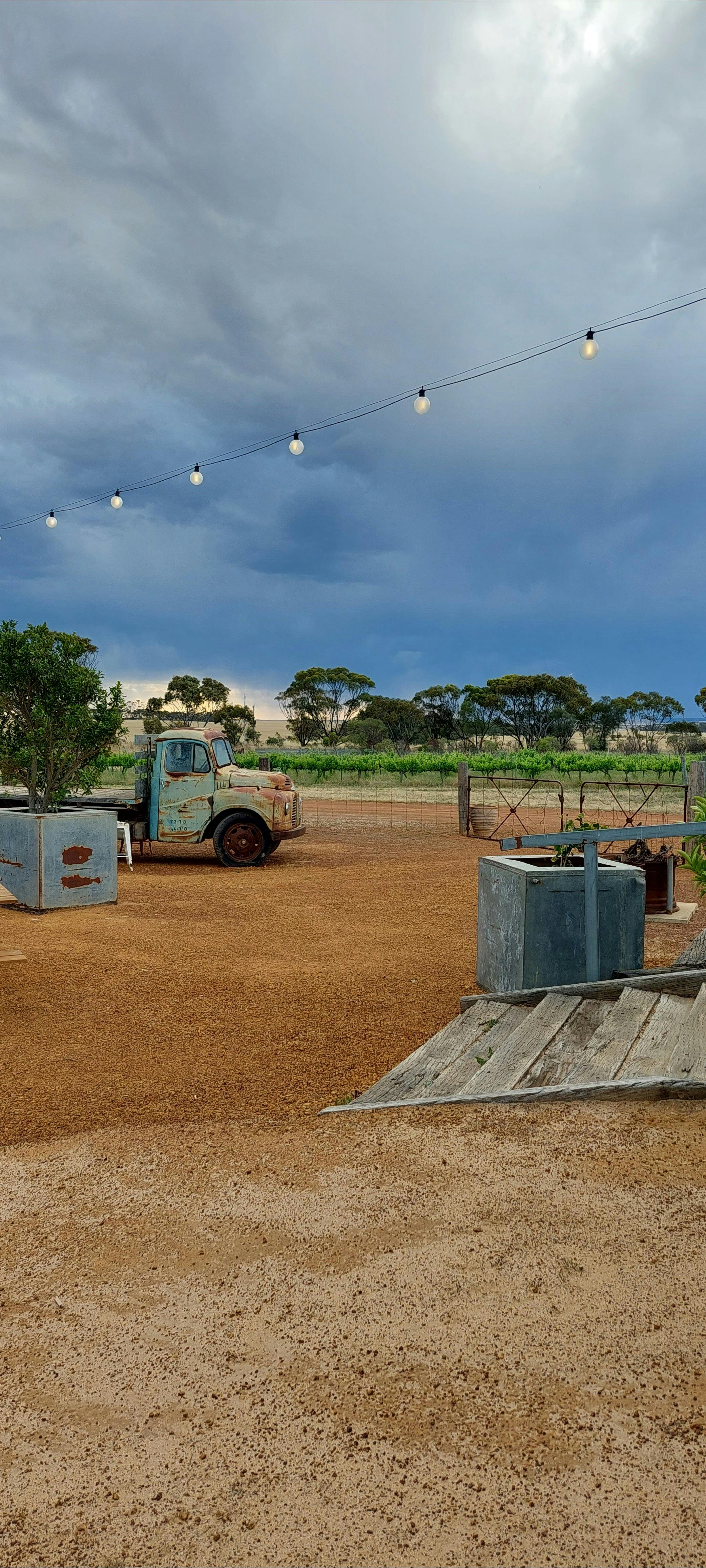 Walkers Hill Vineyard