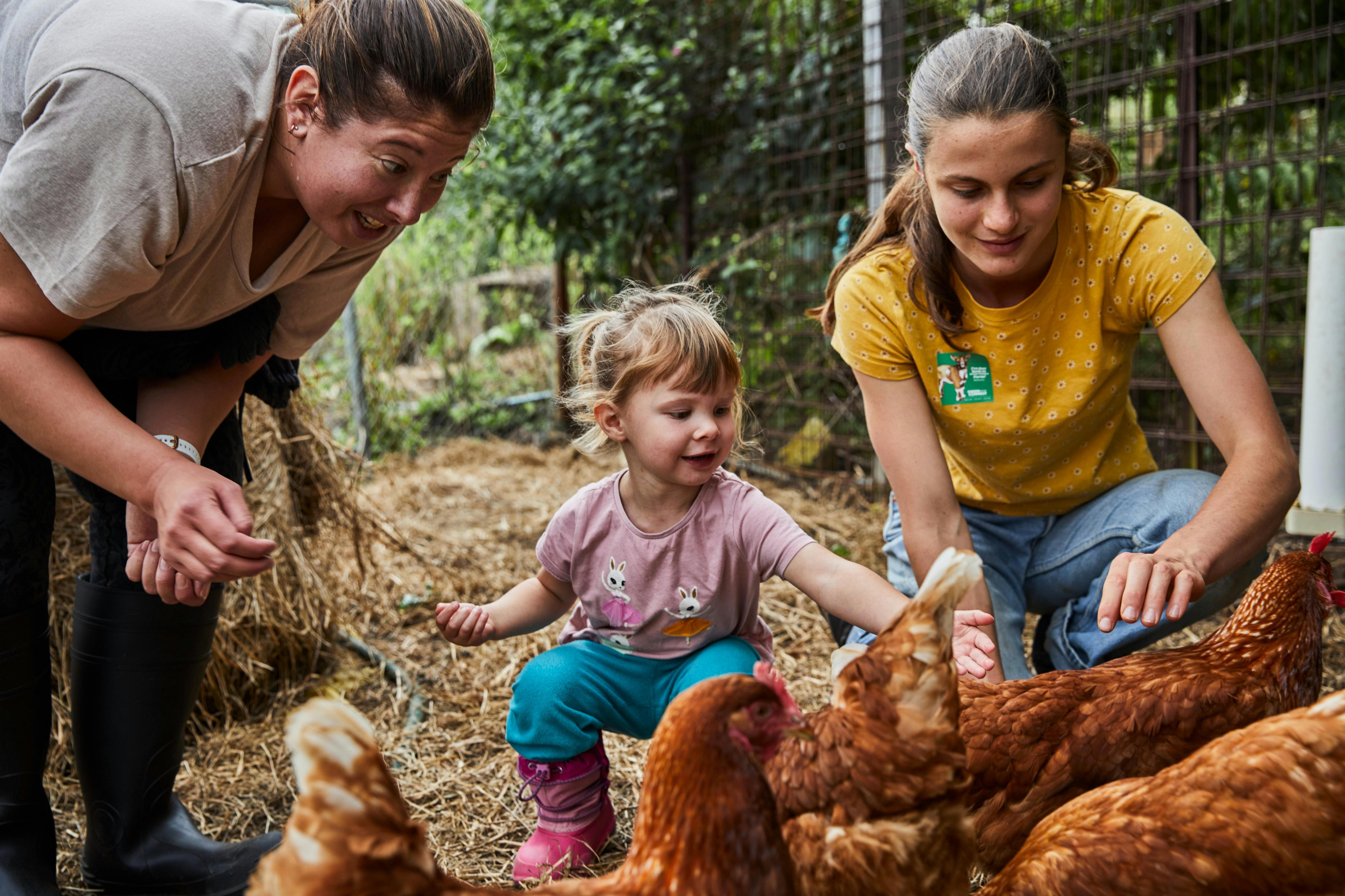 Child and two adults smiling and feeding chooks on a farm