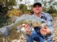 Murray Cod Fly Fishing Bright Myrtleford