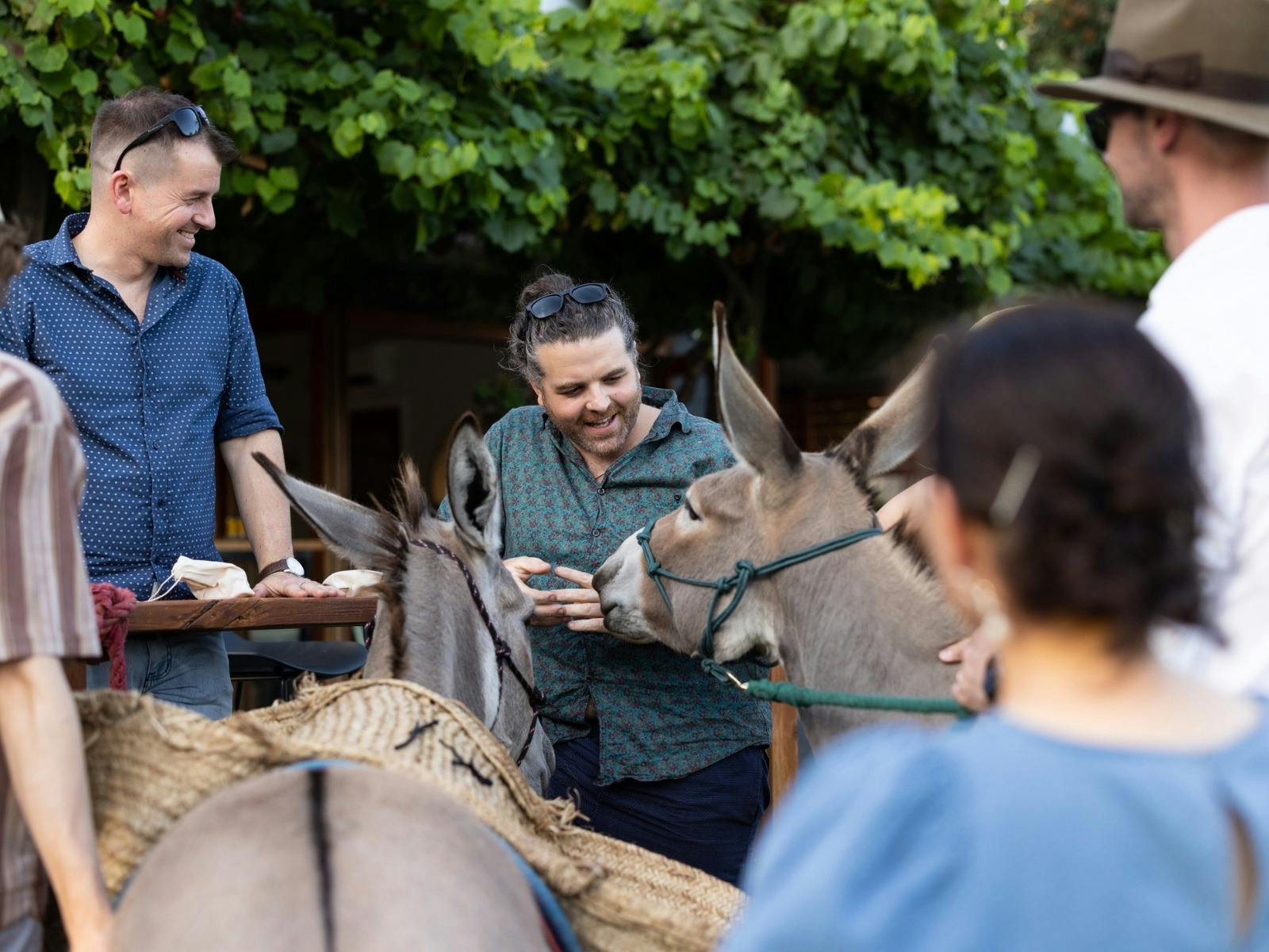 5 people patting a donkey and smiling