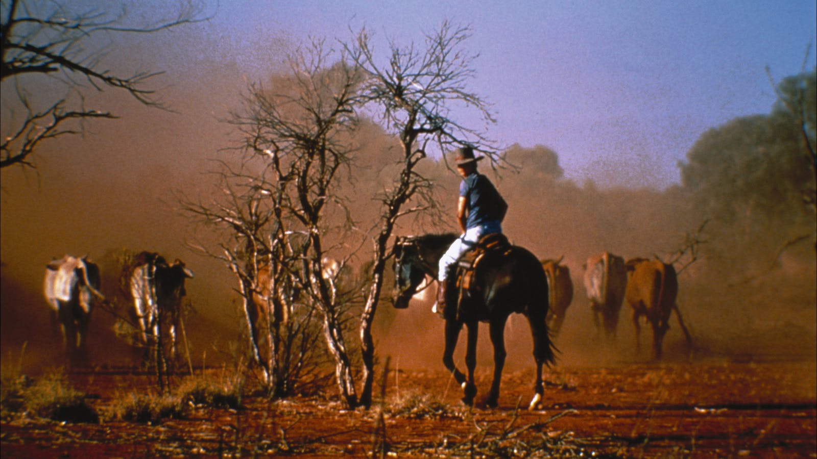 Outback Heritage and Coal Adventure