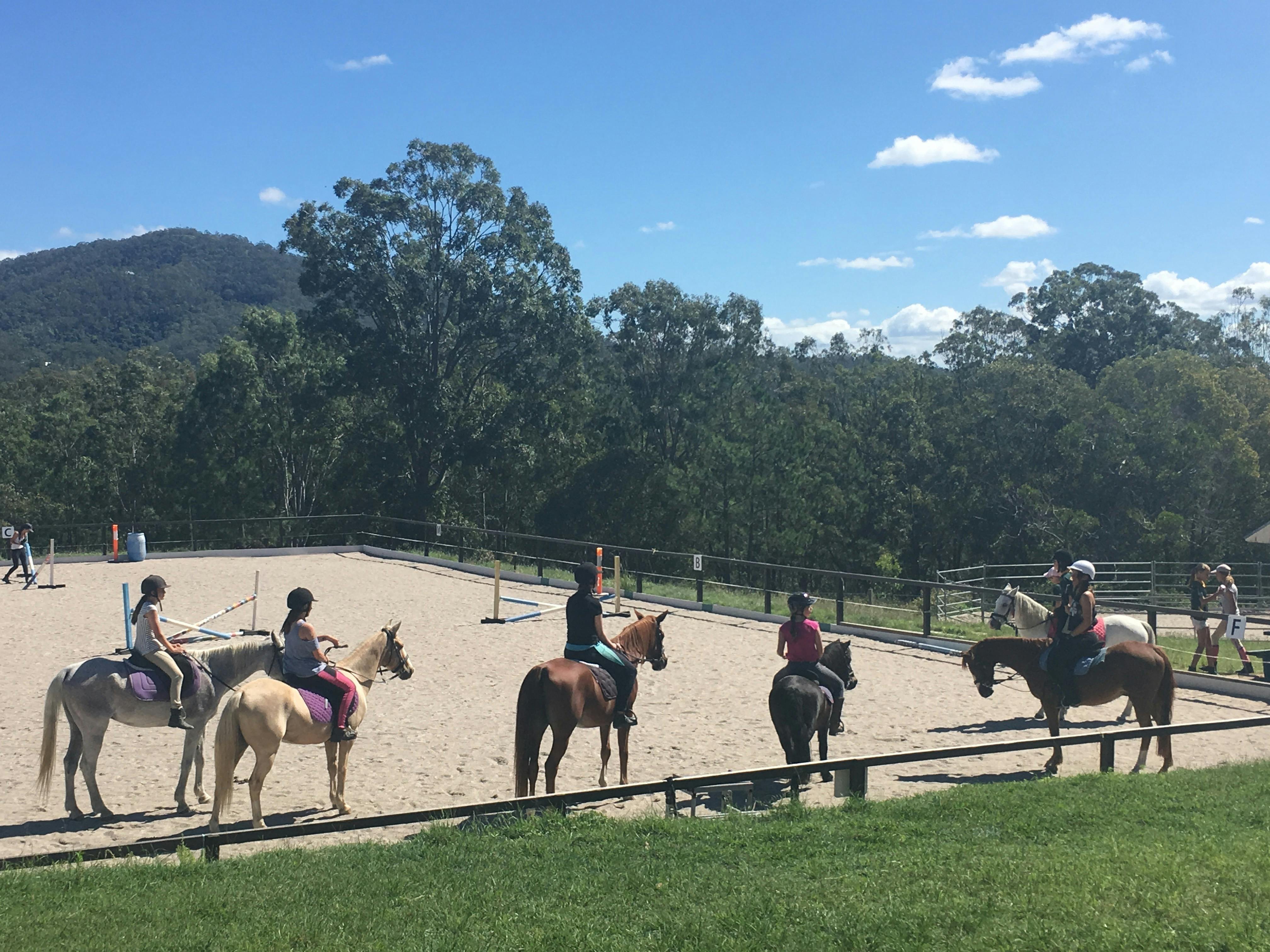 Group horse riding
