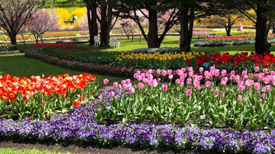 Canberra Floriade