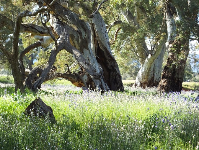 5 Day Tour Explore Wilpena and Arkaroola