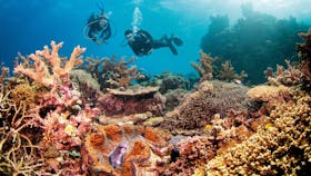 Agincourt Reef