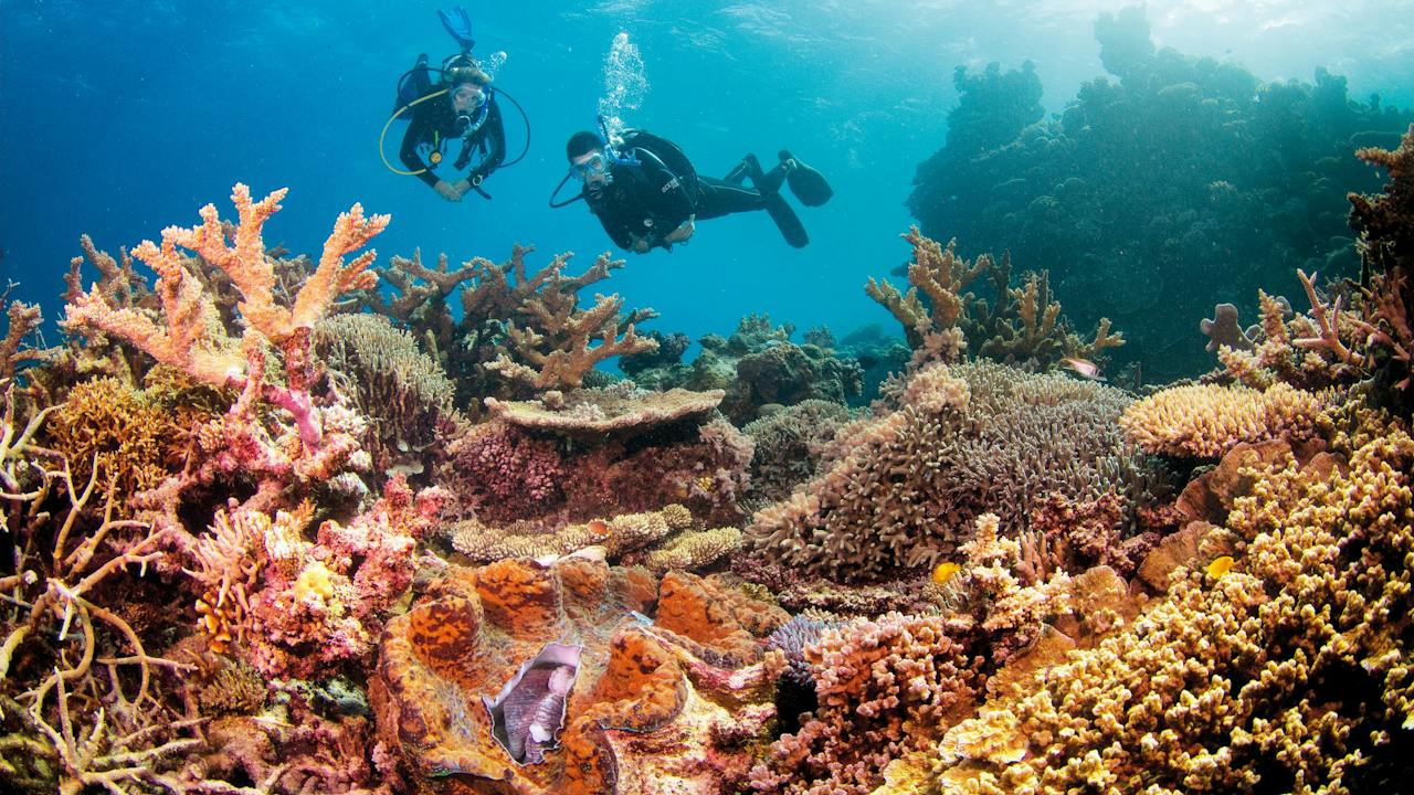 Agincourt Reef