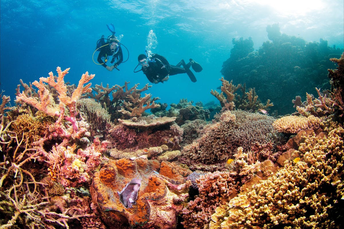 Agincourt Reef Divers