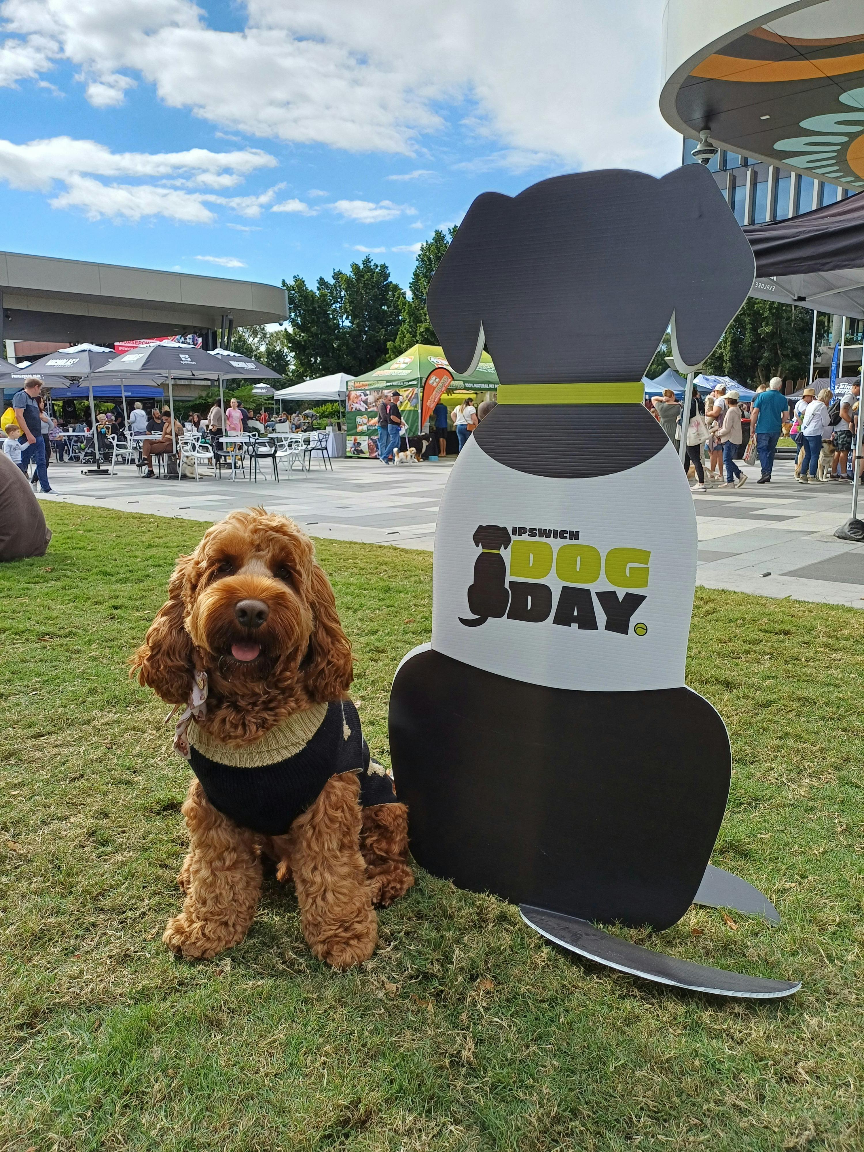 brown dog with dog sign
