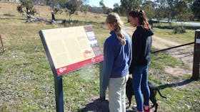 two teenage girls with dog looking at sign