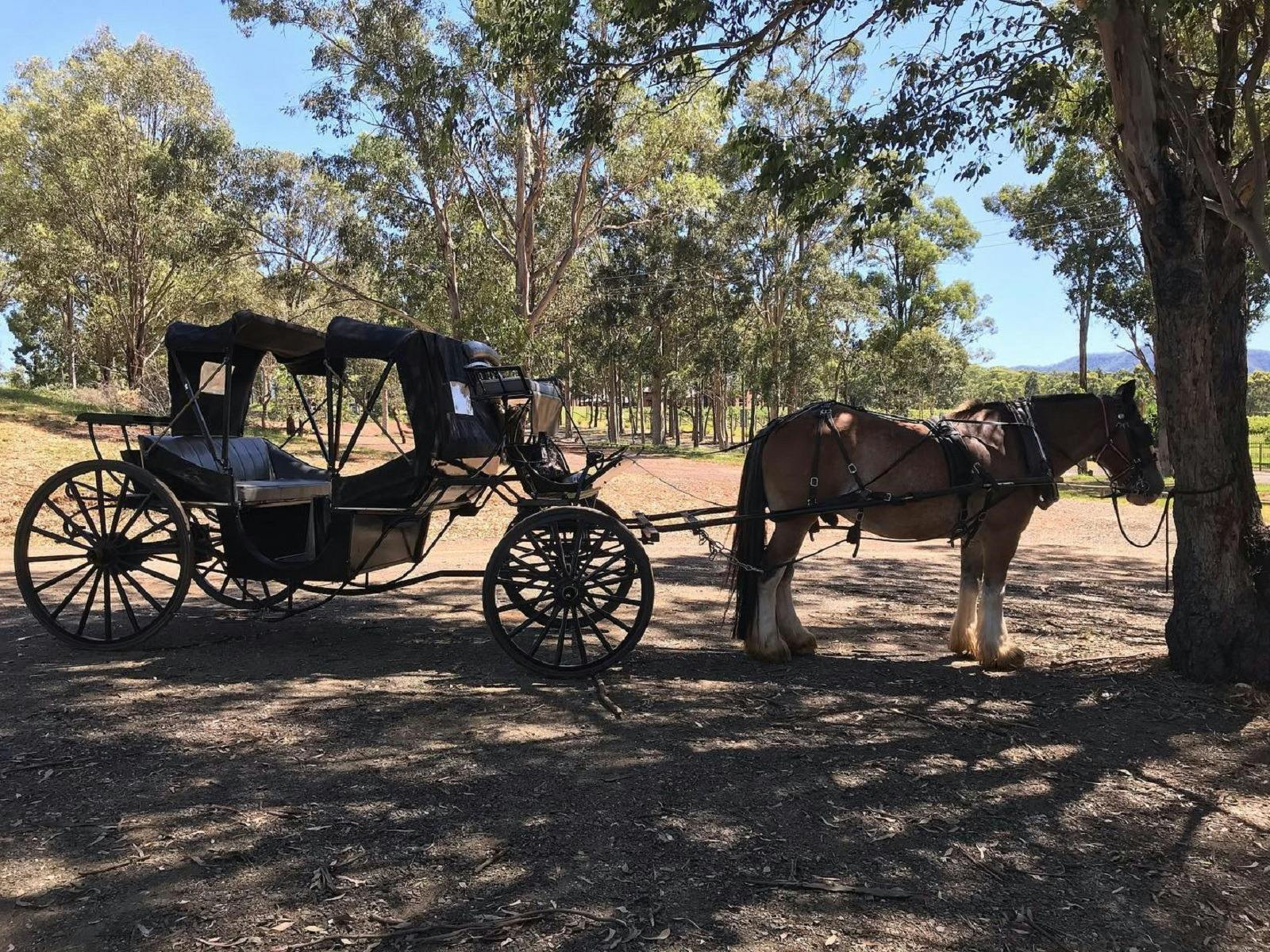 You never know who will stop by at Kevin Sobels...Nitro the carriage horse
