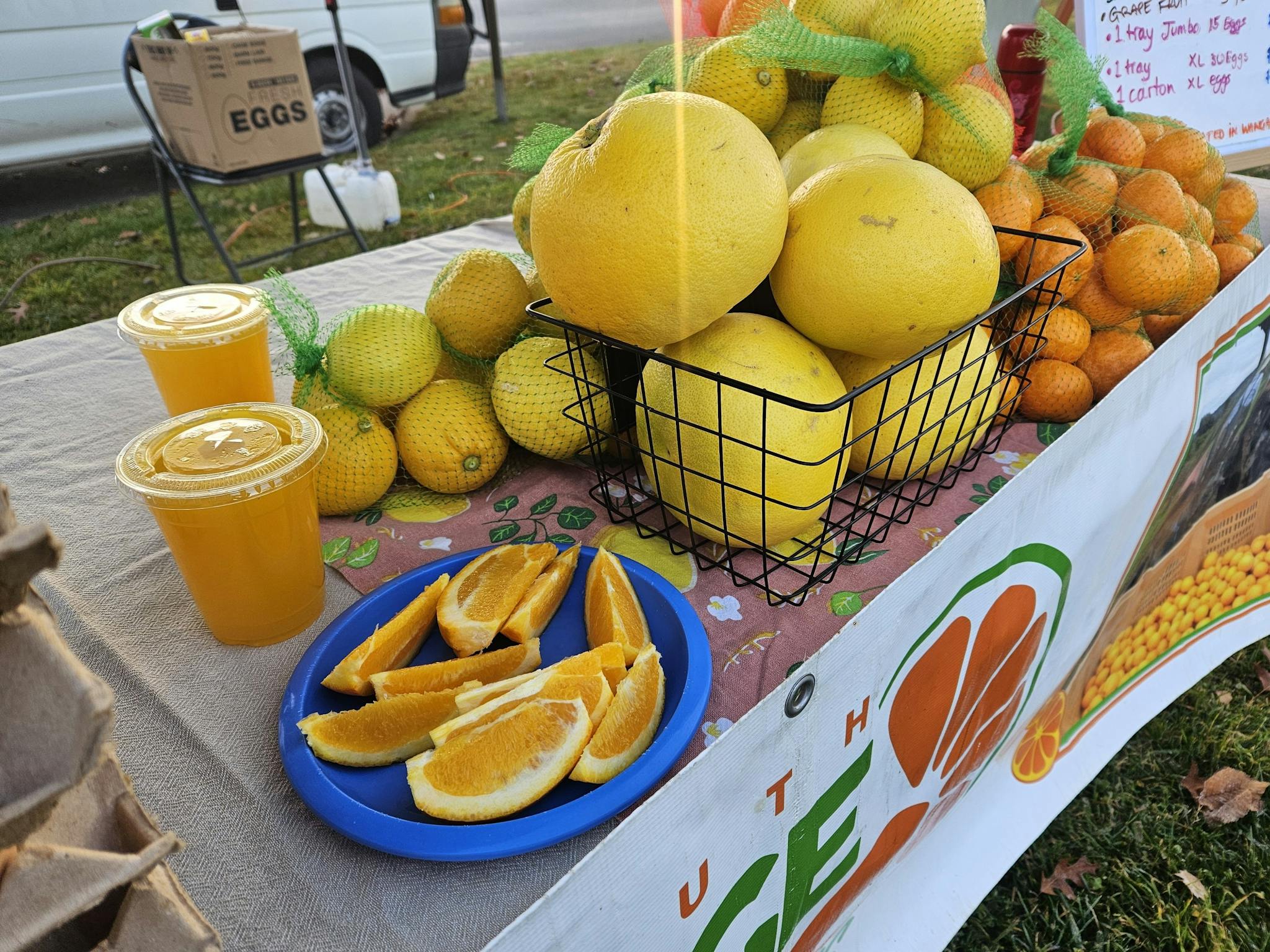 Citrus fruits